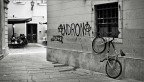 Trieste img 235