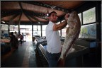 accattativillo accattativillo
