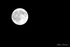 Luna Luna