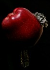 peccato originale peccato originale