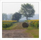 Passeggiando per la campagna