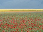 Castelluccio di norcia