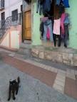 Il micio del bucato Il micio del bucato