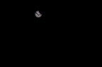 Eclissi solare 2015 Eclissi solare 2015