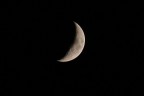 Falce di luna Falce di luna