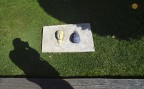 Arte in giardino Arte in giardino