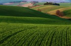 stavo per usare il cestino decidete voi stavo per usare il cestino decidete voi