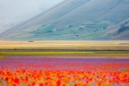 Castelluccio Castelluccio