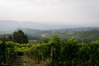 Carichi per l'autunno Carichi per l'autunno
