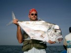 west african pompano