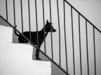 L'attesa L'attesa