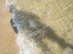 Sott'acqua Sott'acqua