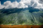 Voglia di libertà Voglia di libertà