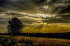 la solita alba