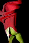 san valentino san valentino