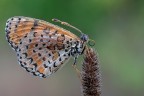 Macro_2 Macro_2