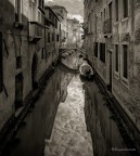 Suggerimenti e critiche sempre ben accetti. 
Canon 6D, - Canon EF 24-105mm - 1/320 - f/10.0 - ISO 320 - mano libera