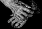 ....my mother's hands.... ....my mother's hands....