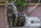 Madre e figlio Madre e figlio
