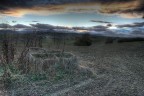 campagna marchigiana campagna marchigiana