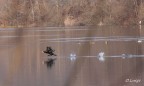 Provo a prendere il volo Provo a prendere il volo