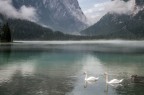 Nebbia al lago 3 Nebbia al lago 3