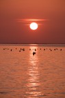 Tramonto ai Filtri Tramonto ai Filtri