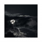 Mooon Mooon
