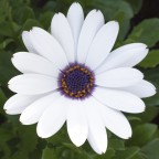 Della serie quadrato � bello...