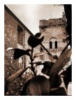 .::san biagio::. .::san biagio::.