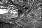 La strada per Nasseto La strada per Nasseto