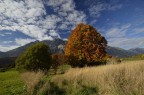 Autunno in montagna Autunno in montagna