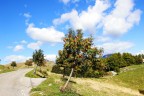 Lessinia Landscape Lessinia Landscape