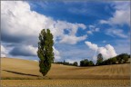 l'autunno sulla collina l'autunno sulla collina