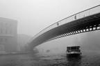 Into the Fog Into the Fog