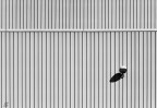 ..||||o||.. ..||||o||..