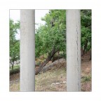 Fuji x-e2
fujinon 18r
formato 1:1 direttamente in camera