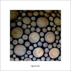 Sguardi Sguardi