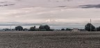 Campagna