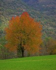Autunno Autunno