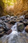 Canyon Valli Cupe