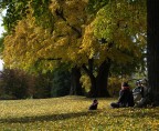 RELAX AL PARCO RELAX AL PARCO