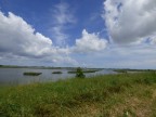 laguna laguna