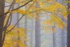 Autumn intimate Autumn intimate