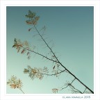 Minimalia... autunnale.