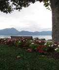 Questa immagine fatta sul Lago Di Garda � una semplice foto:
una panchina, un albero, fiori, in primo piano; sullo sfondo il lago e le montagne.
Scrivete le vostre opinioni e consigli, in modo tale da migliorare