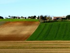 campagna marchigiana campagna marchigiana