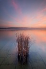 Pink sunset Pink sunset