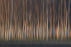 Autunno 2015 Autunno 2015