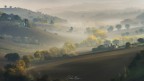 Morning Fog Morning Fog